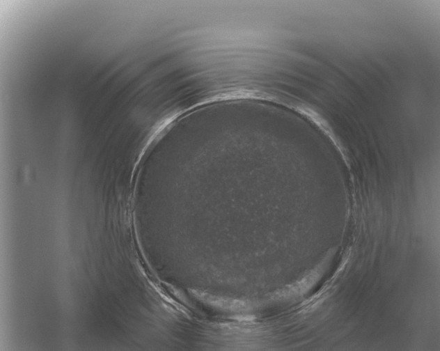 X0000058141097200509302012