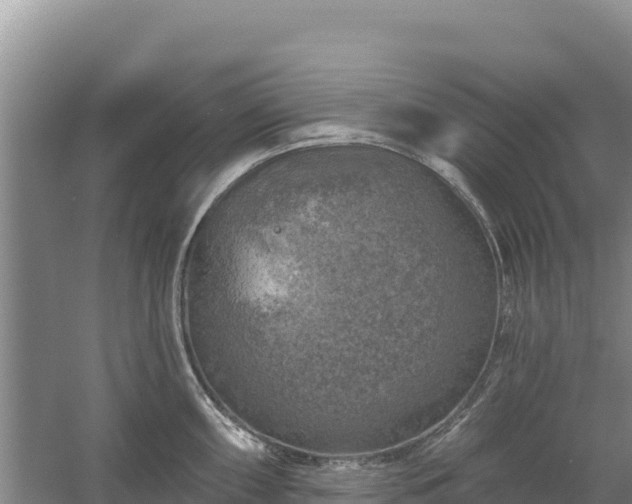 X0000058141098200509302012