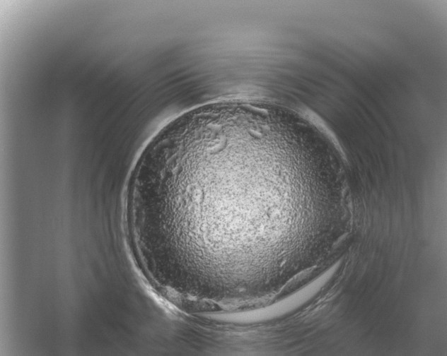 X0000058141099200509302012