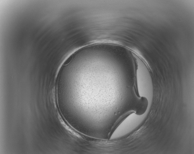 X0000058141100200509302012