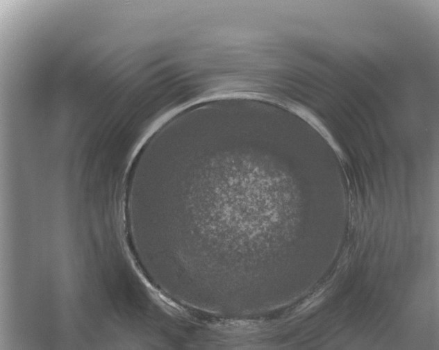 X0000058141101200509302012