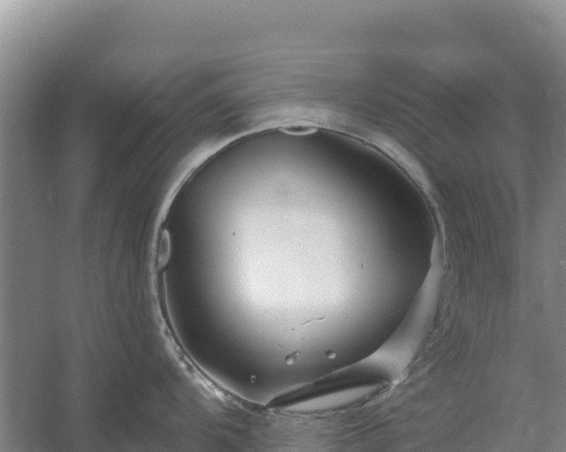 X0000058141104200509302012