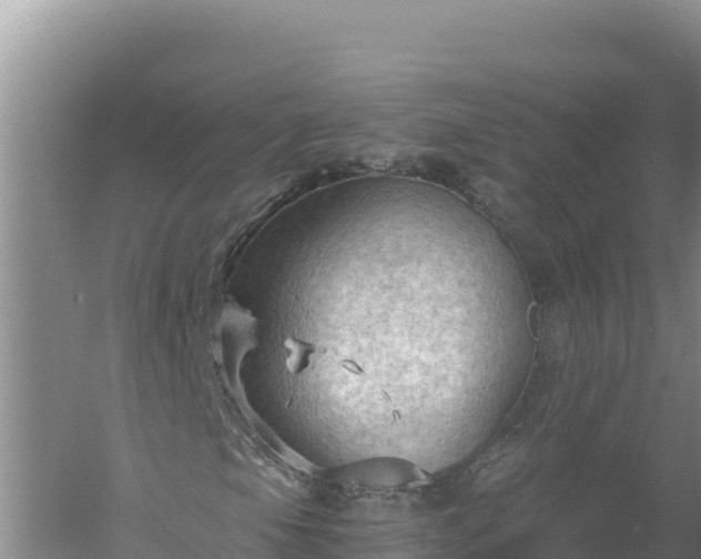 X0000058141105200509302011