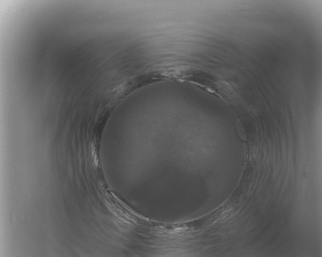 X0000058141106200509302011