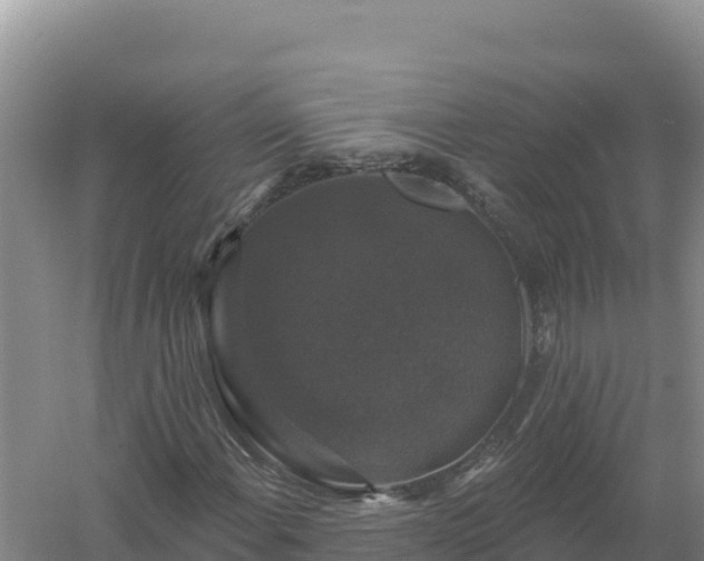 X0000058141108200509302011