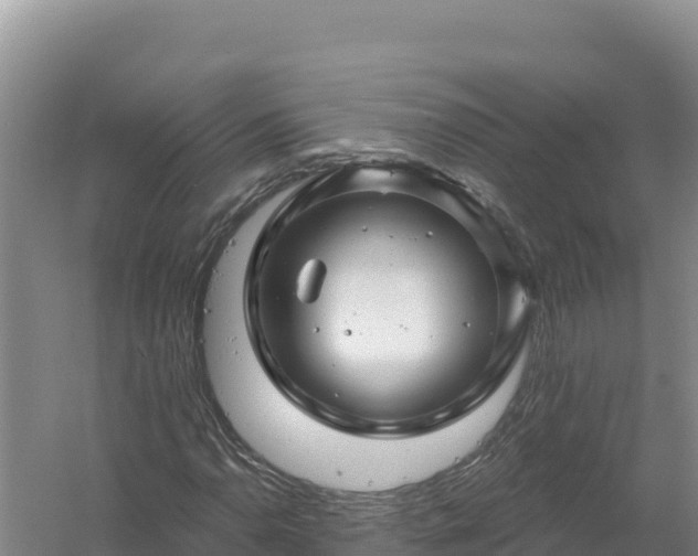 X0000058141110200509302011