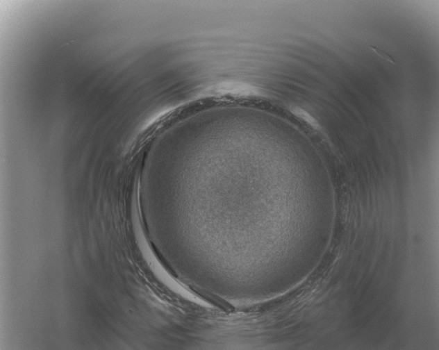 X0000058141112200509302011