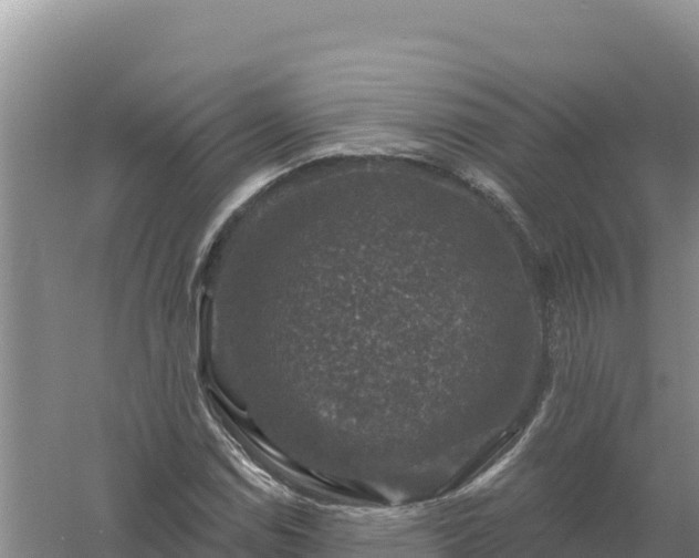 X0000058141114200509302011