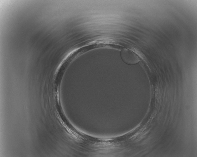 X0000058141115200509302011