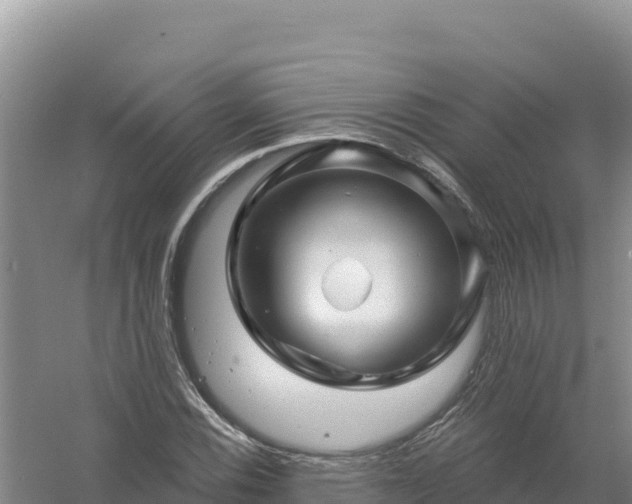 X0000058141116200509302011