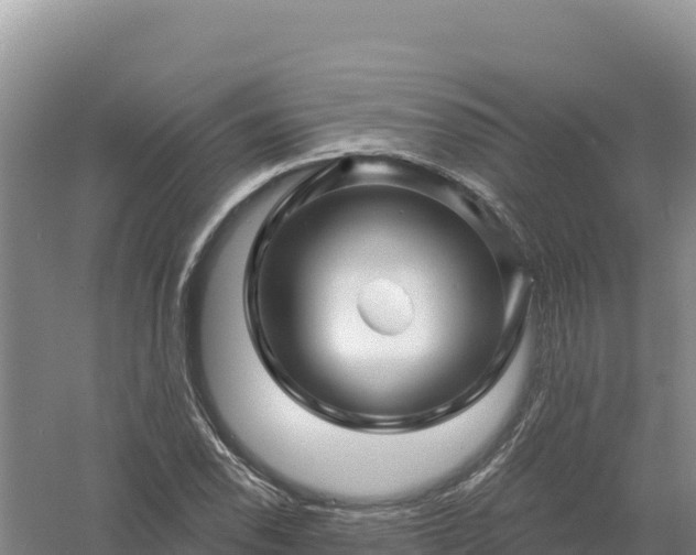 X0000058141118200509302012