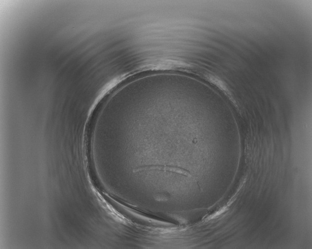 X0000058141122200509302012