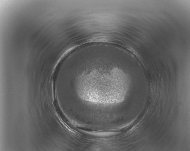 X0000058141123200509302012