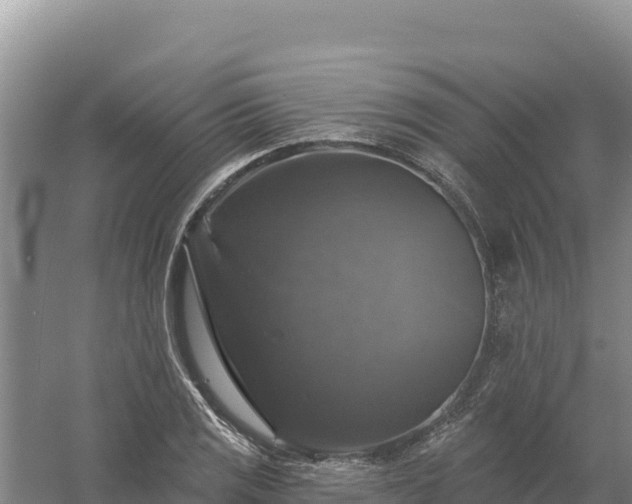 X0000058141125200509302012