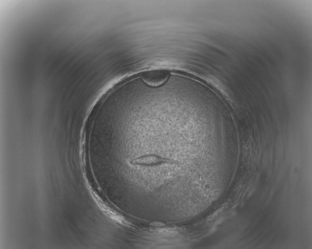 X0000058141126200509302012