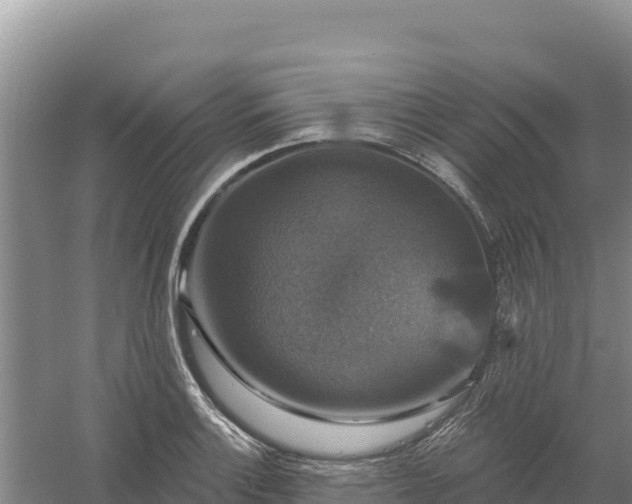 X0000058141132200509302012