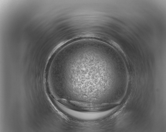 X0000058141133200509302012