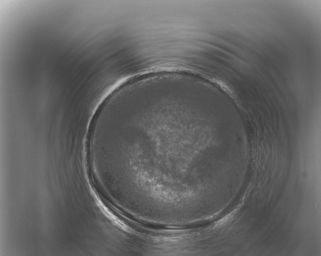 X0000058141134200509302012