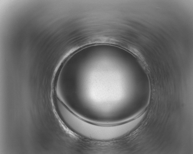 X0000058141136200509302012