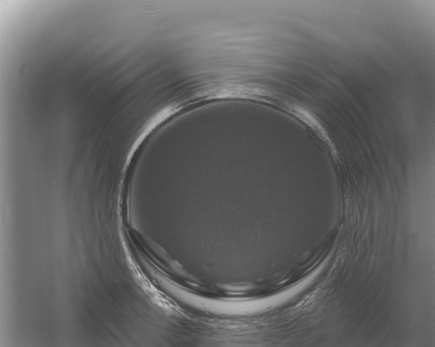 X0000058141138200509302012