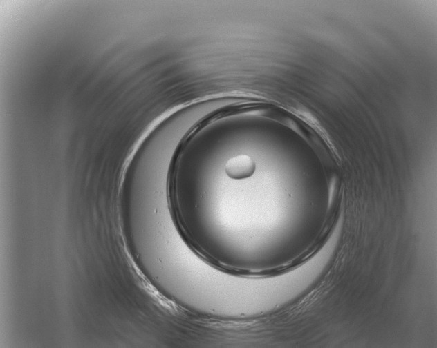 X0000058141140200509302012