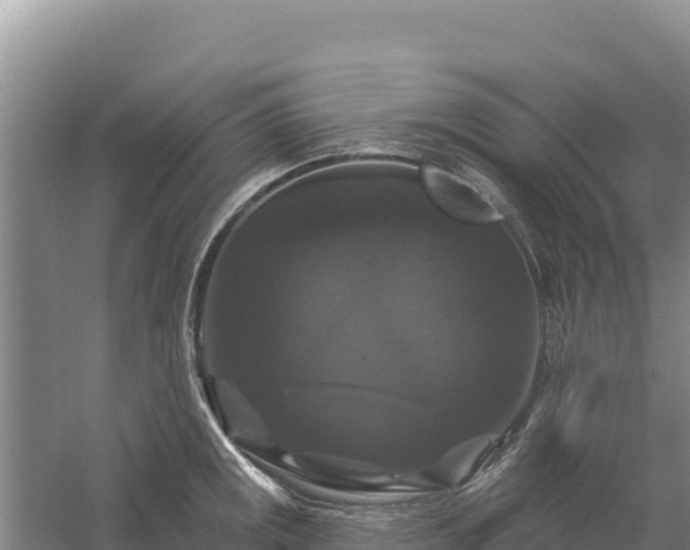 X0000058141141200509302012