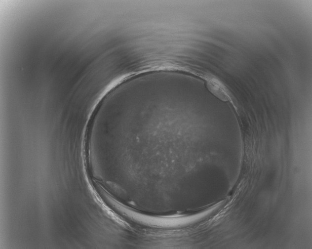 X0000058141142200509302012