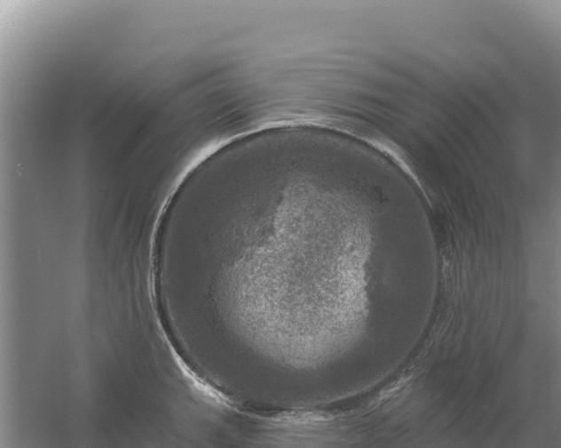 X0000058141143200509302012