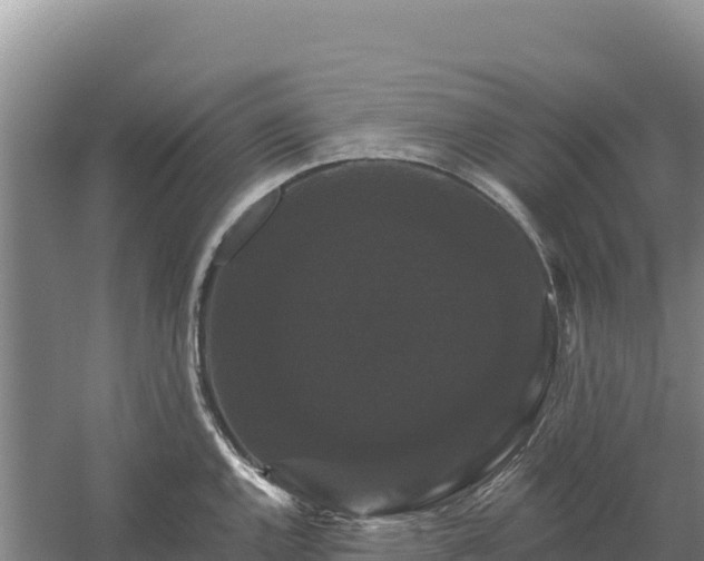 X0000058141144200509302012