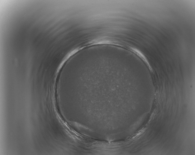 X0000058141146200509302012