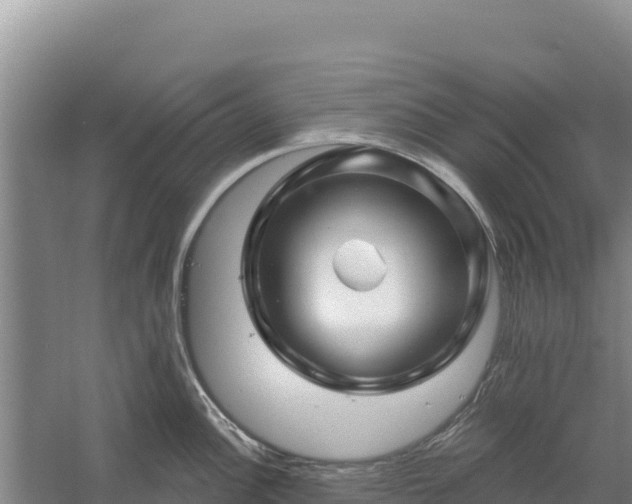 X0000058141148200509302012