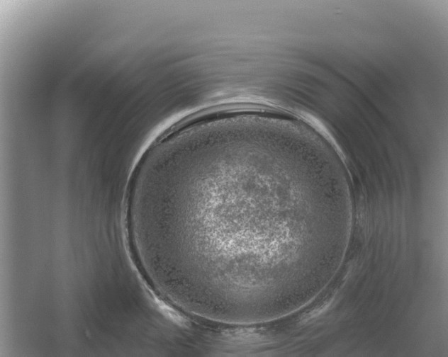 X0000058141149200509302012