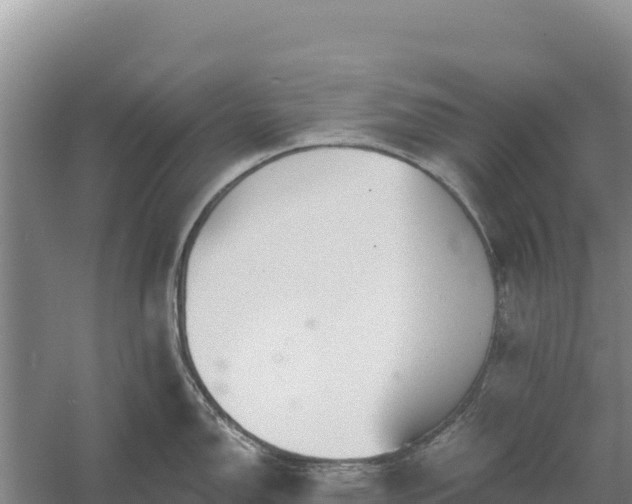 X0000058141150200509302012