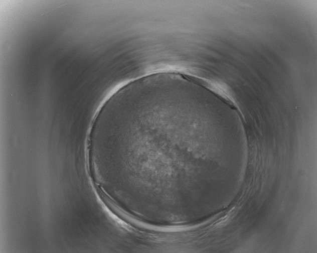 X0000058141151200509302012