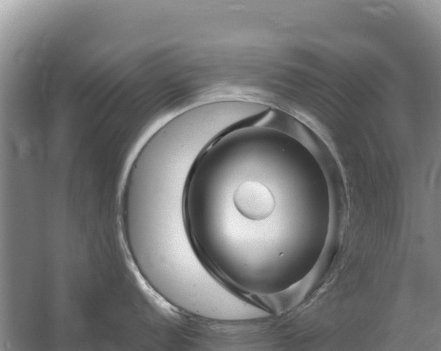 X0000058141152200509302012