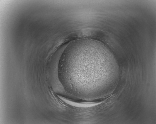 X0000058141153200509302011