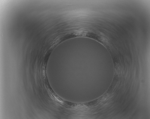 X0000058141154200509302011