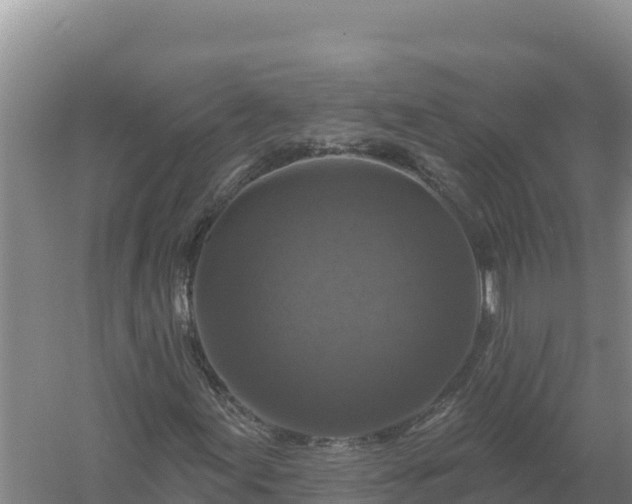 X0000058141155200509302011