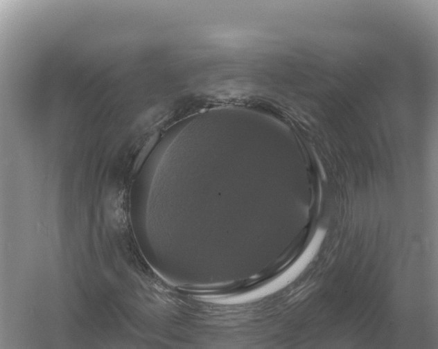 X0000058141156200509302011