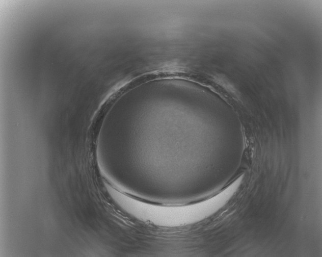 X0000058141160200509302011