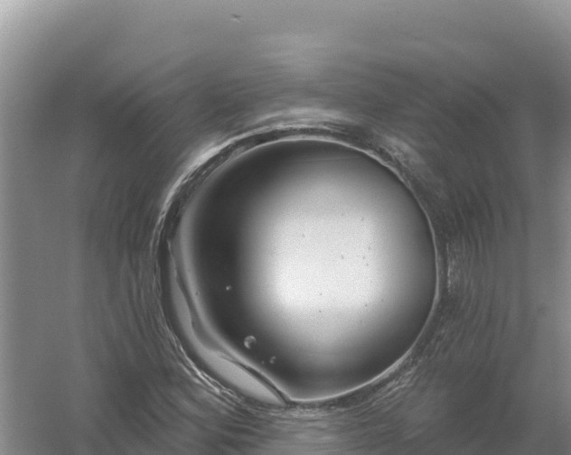 X0000058141164200509302011