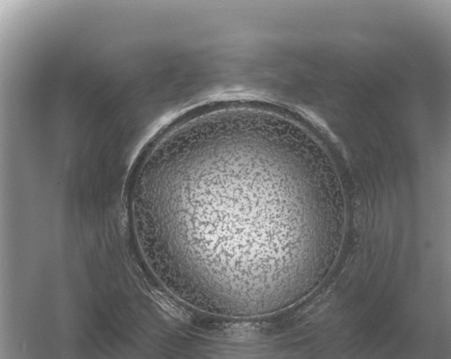 X0000058141167200509302011