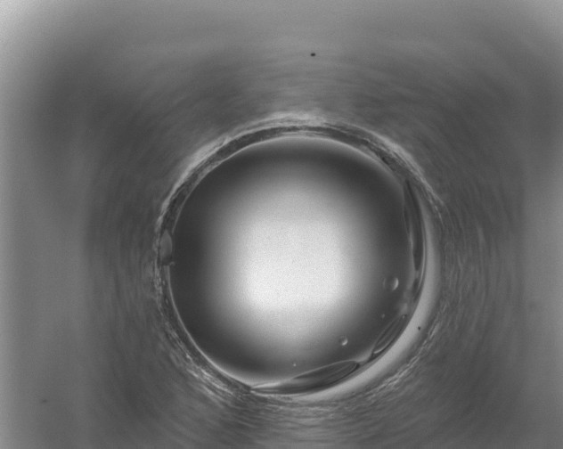 X0000058141168200509302011