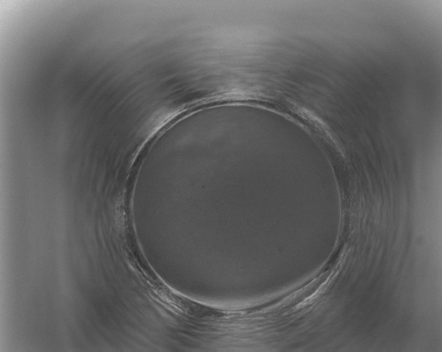 X0000058141170200509302011