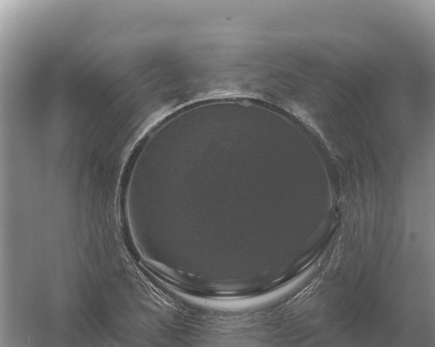 X0000058141173200509302011