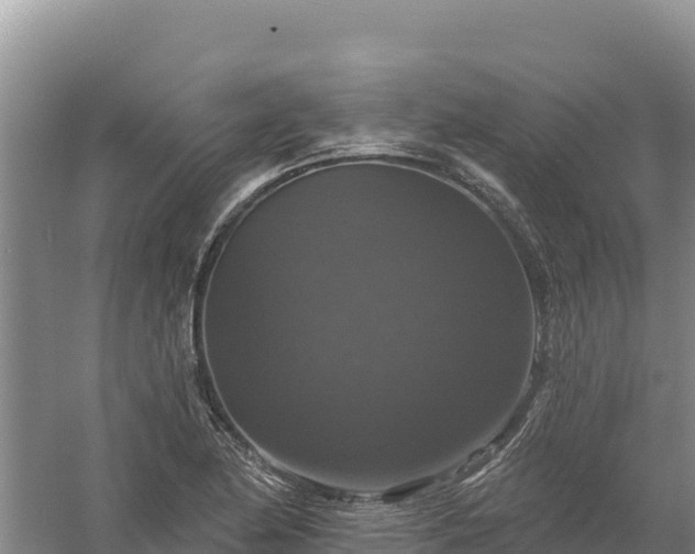 X0000058141174200509302011