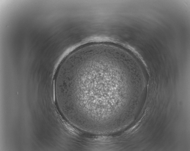 X0000058141175200509302011