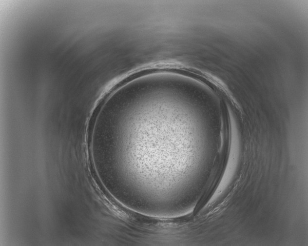 X0000058141176200509302011