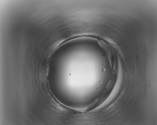 X0000058141177200509302011