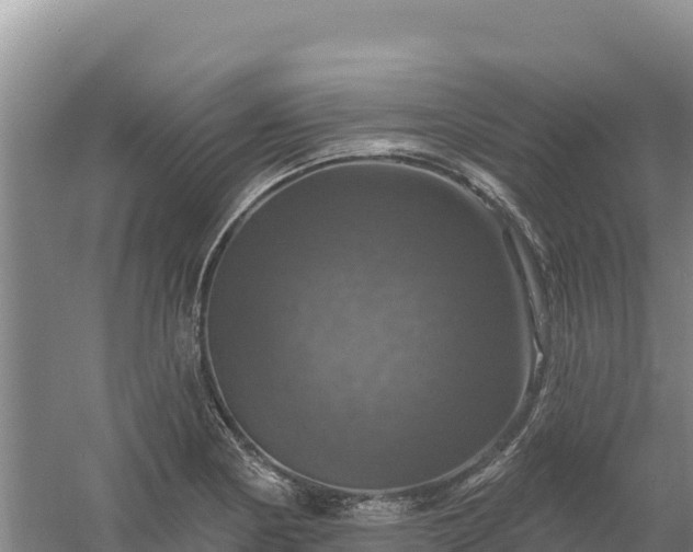 X0000058141178200509302011